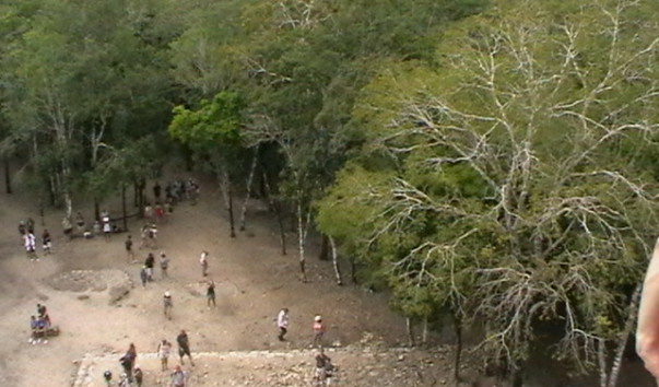 IMGA0012