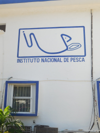 photo 1241409