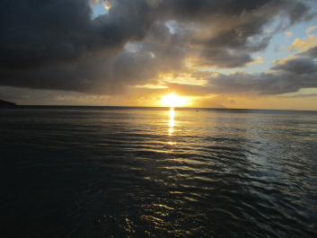 photo 1336258