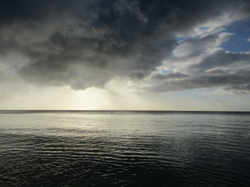photo 1338415
