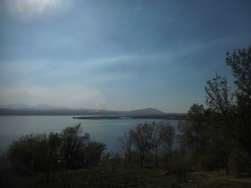 photo 1384820