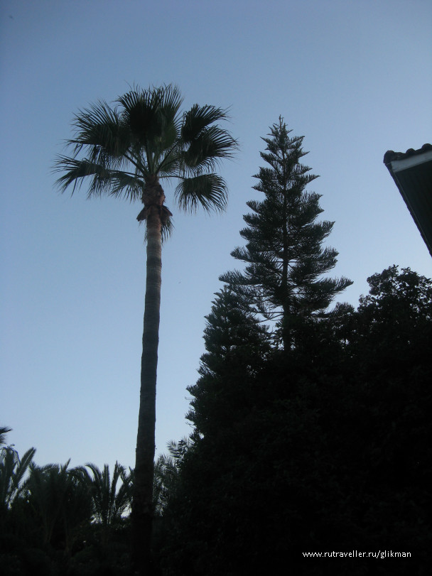 photo 306303
