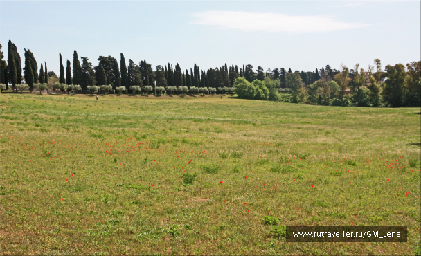 photo 1387232