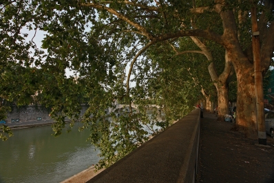 photo 901165