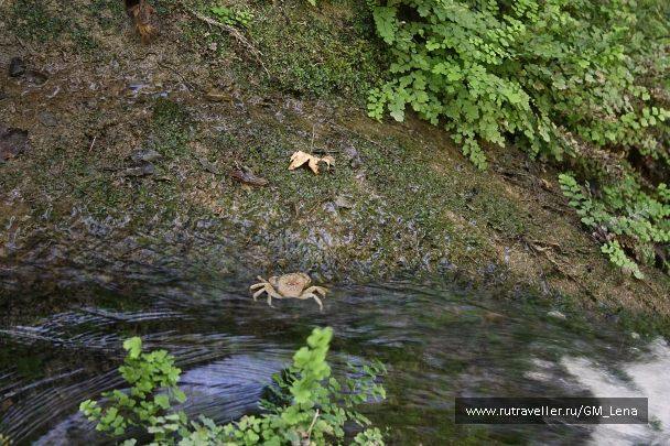 photo 905042