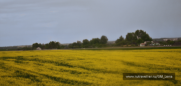 photo 1387389