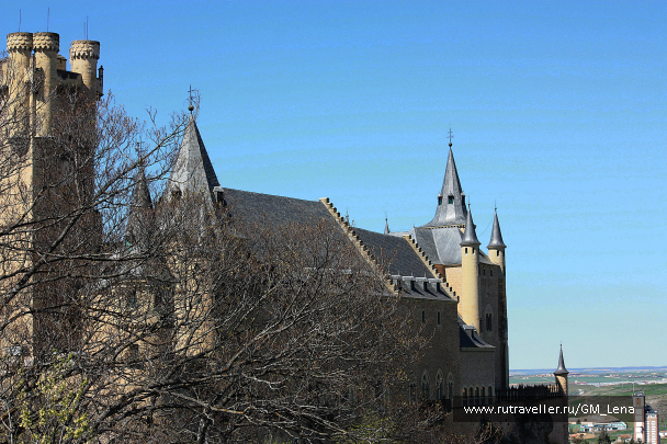 photo 1389423