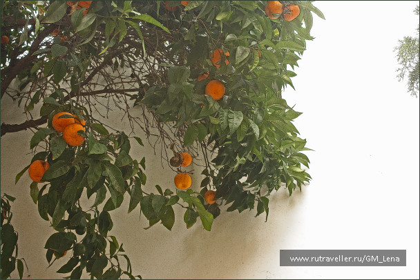 photo 1392559