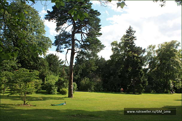photo 1394011