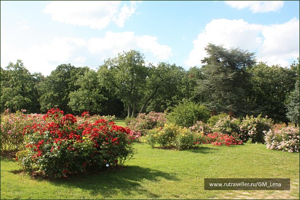photo 1394015