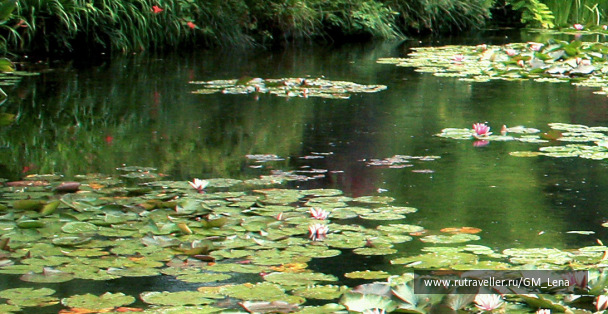 photo 1396176