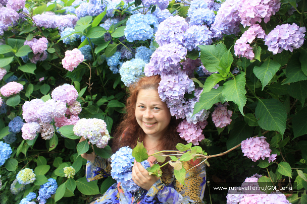 photo 1402410