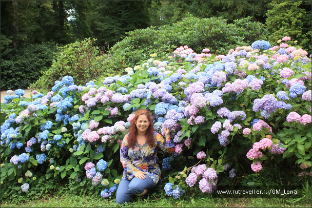 photo 1402411
