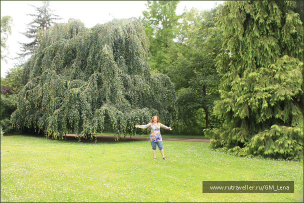 photo 1402419