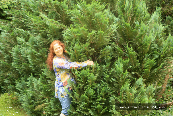 photo 1402420