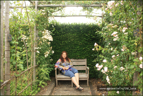 photo 1402423