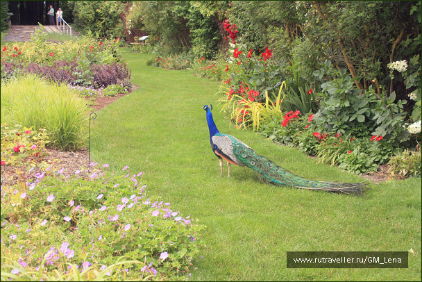 photo 1405605