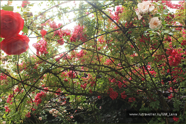 photo 1405641