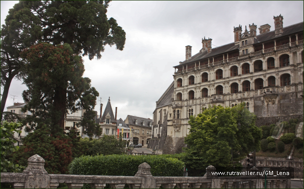 photo 1405764