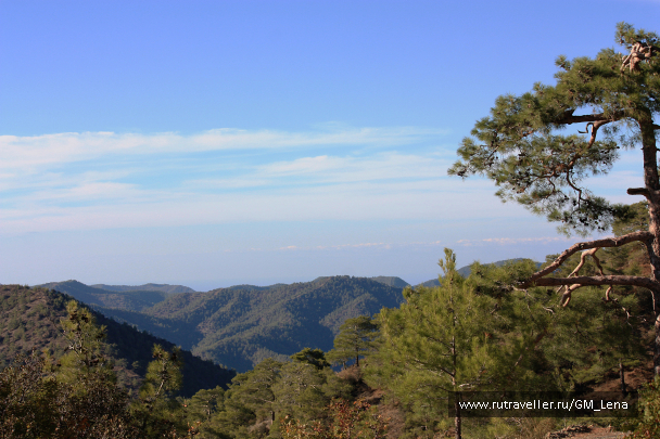 photo 1419589