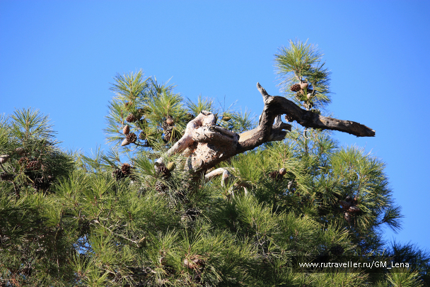 photo 1419590