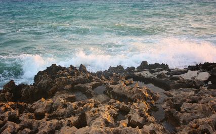 photo 1420279