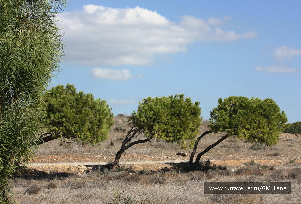 photo 1420582