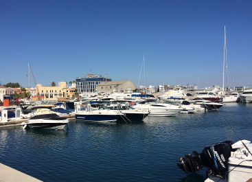 photo 1422646