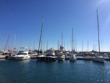 photo 1422650