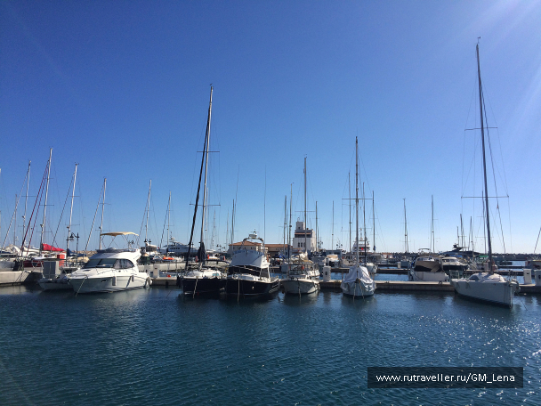 photo 1422650