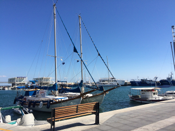 photo 1422651