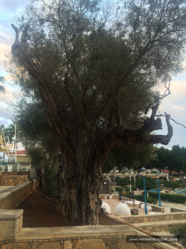 photo 1422665