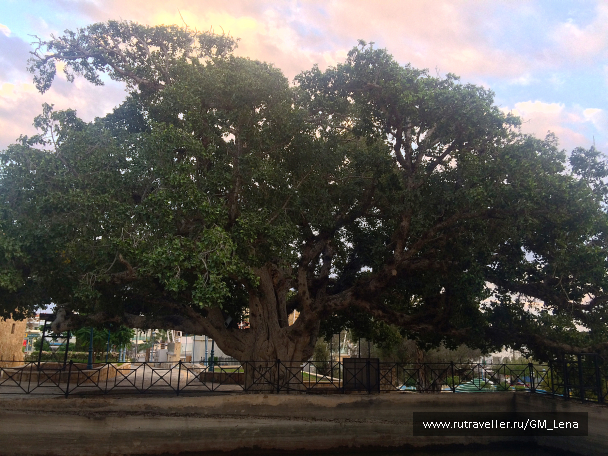 photo 1422667