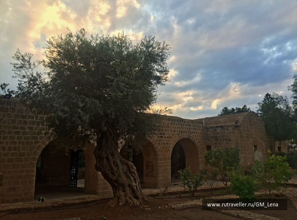 photo 1422673