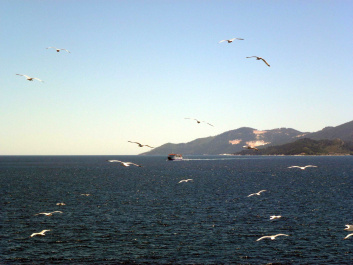 photo 396919