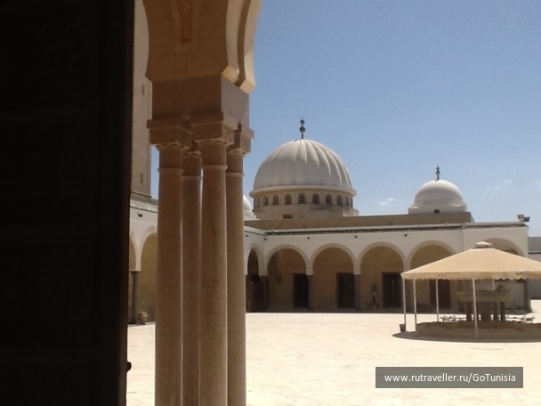 photo 1310676