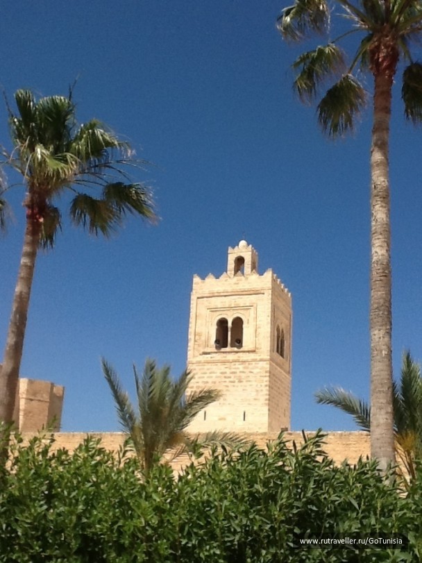 photo 1310679