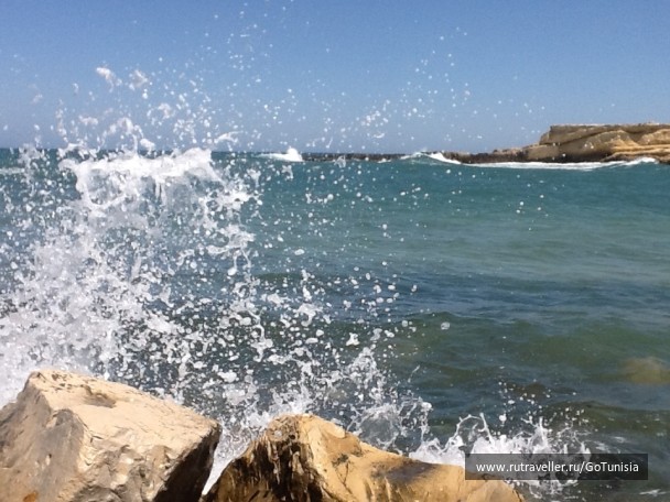 photo 1310682