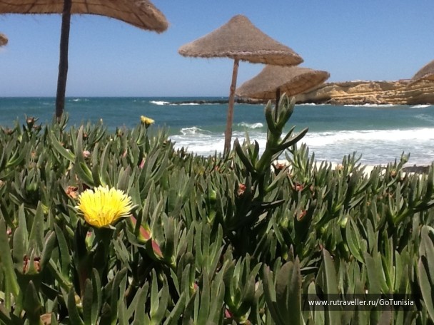 photo 1310683