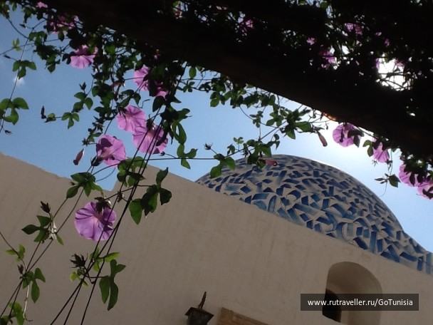 photo 1310686
