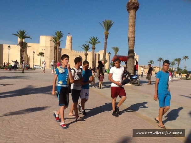 photo 1310693