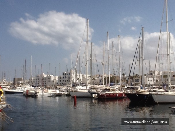 photo 1310707