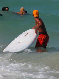 photo 1310843