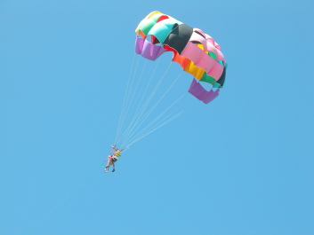 photo 1310846