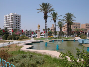 photo 1310969