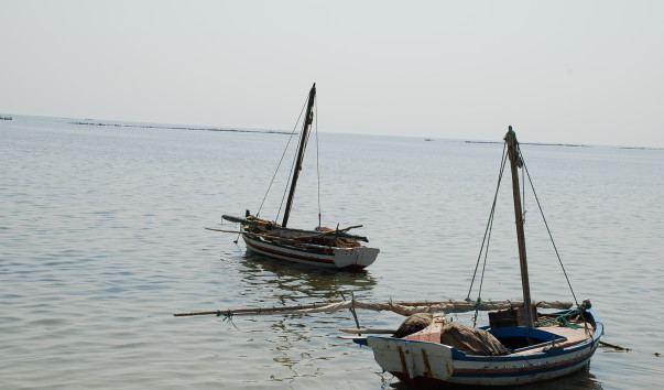 DSC_1044