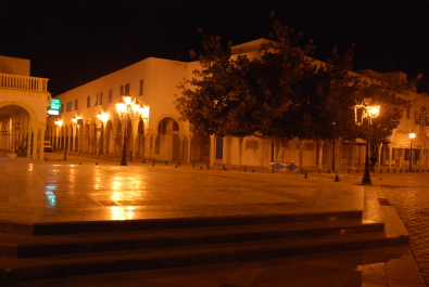 photo 1317337