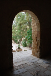 photo 1318442