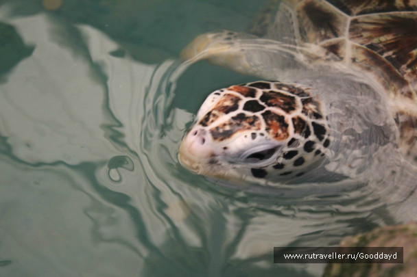 photo 634482