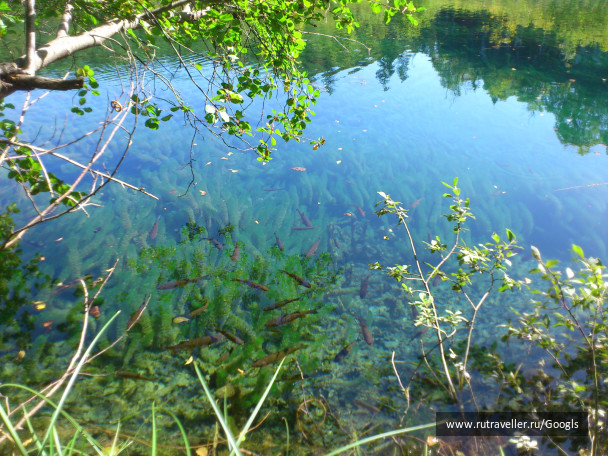 photo 365174